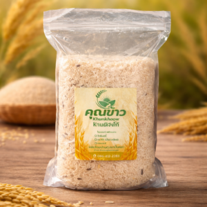 chatgpt image apr 17, 2026, 01 59 13 pm